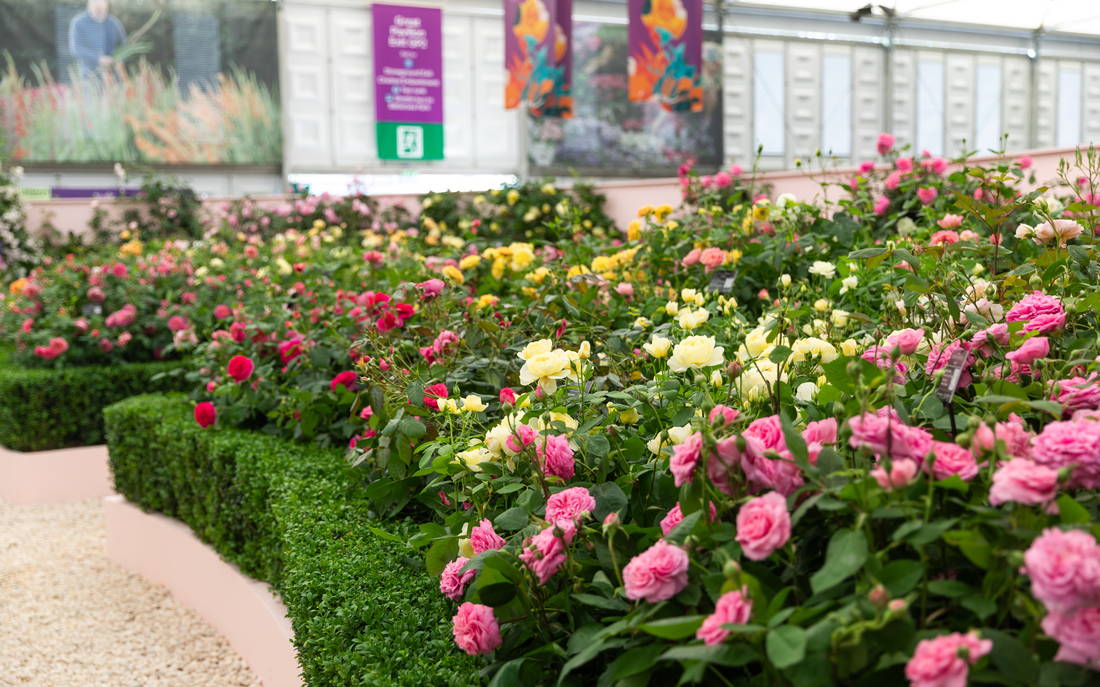 A look back at RHS Chelsea Flower Show