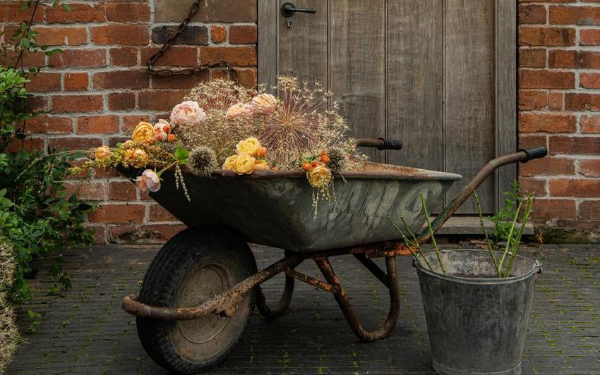 Bringing autumn’s quiet beauty into your garden and home with English roses and hips