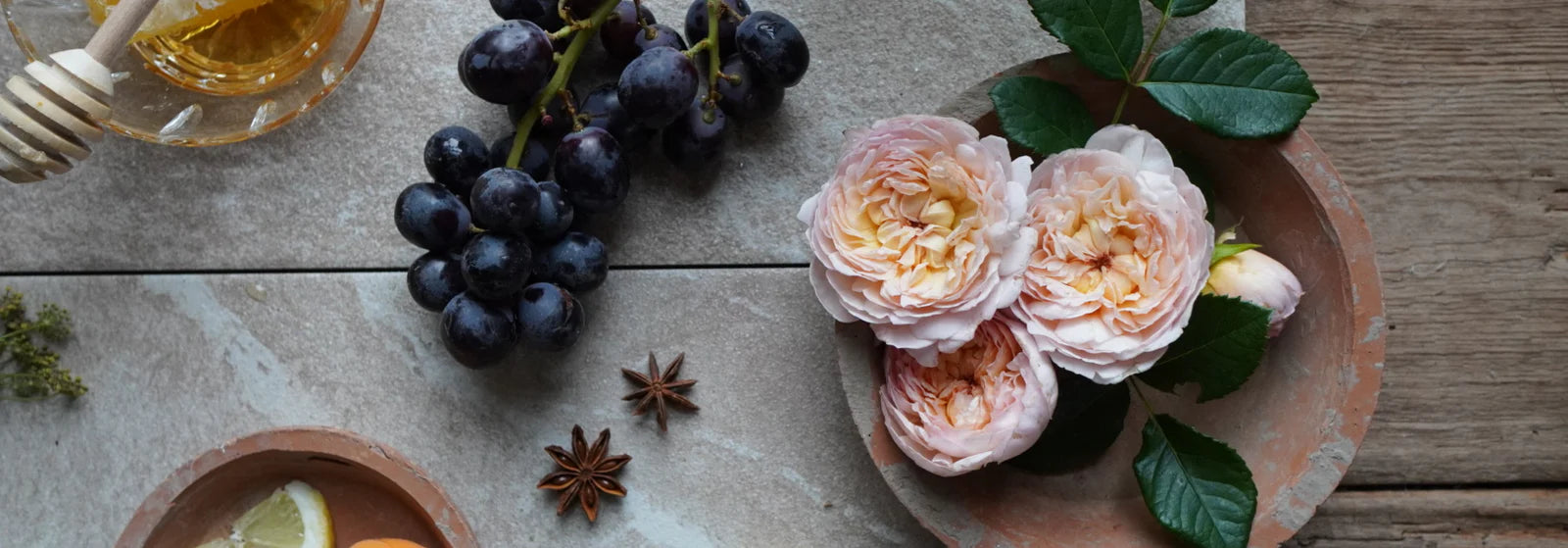 A Guide to English Rose Fragrances