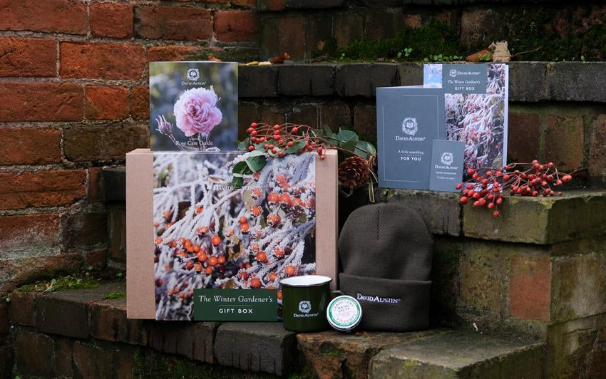 The Winter Gardener's gift box