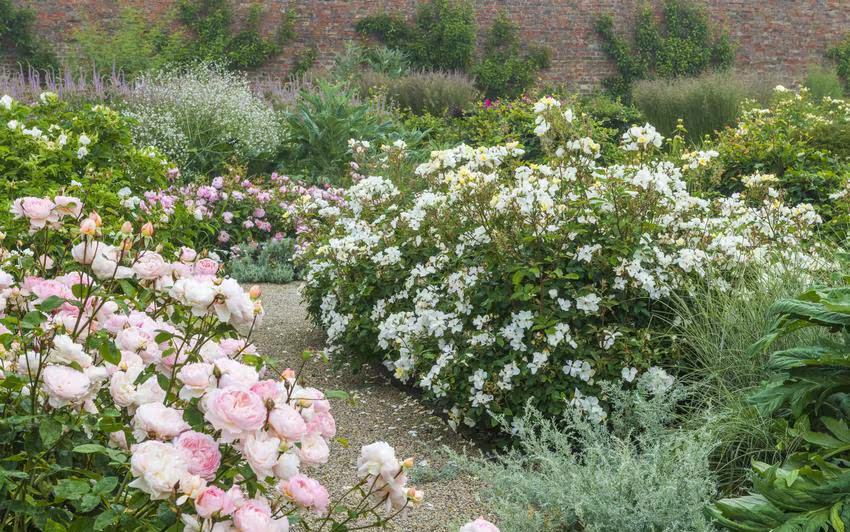 Create a Cottage Style Garden