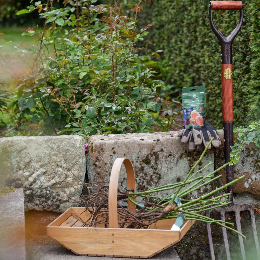 Bare root roses shown in a basket with a fork, gloves and mycorrhizal fungi.