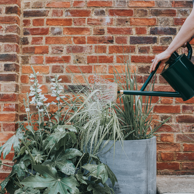 Watering Can