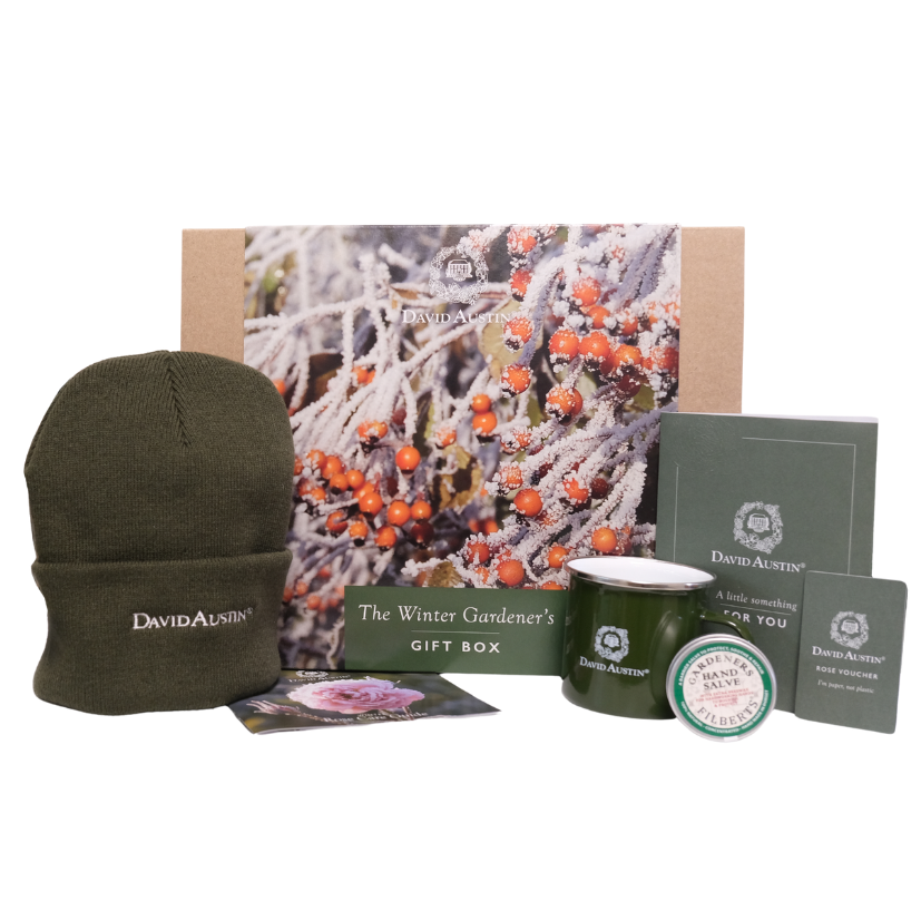 The Winter Gardener's Gift Box