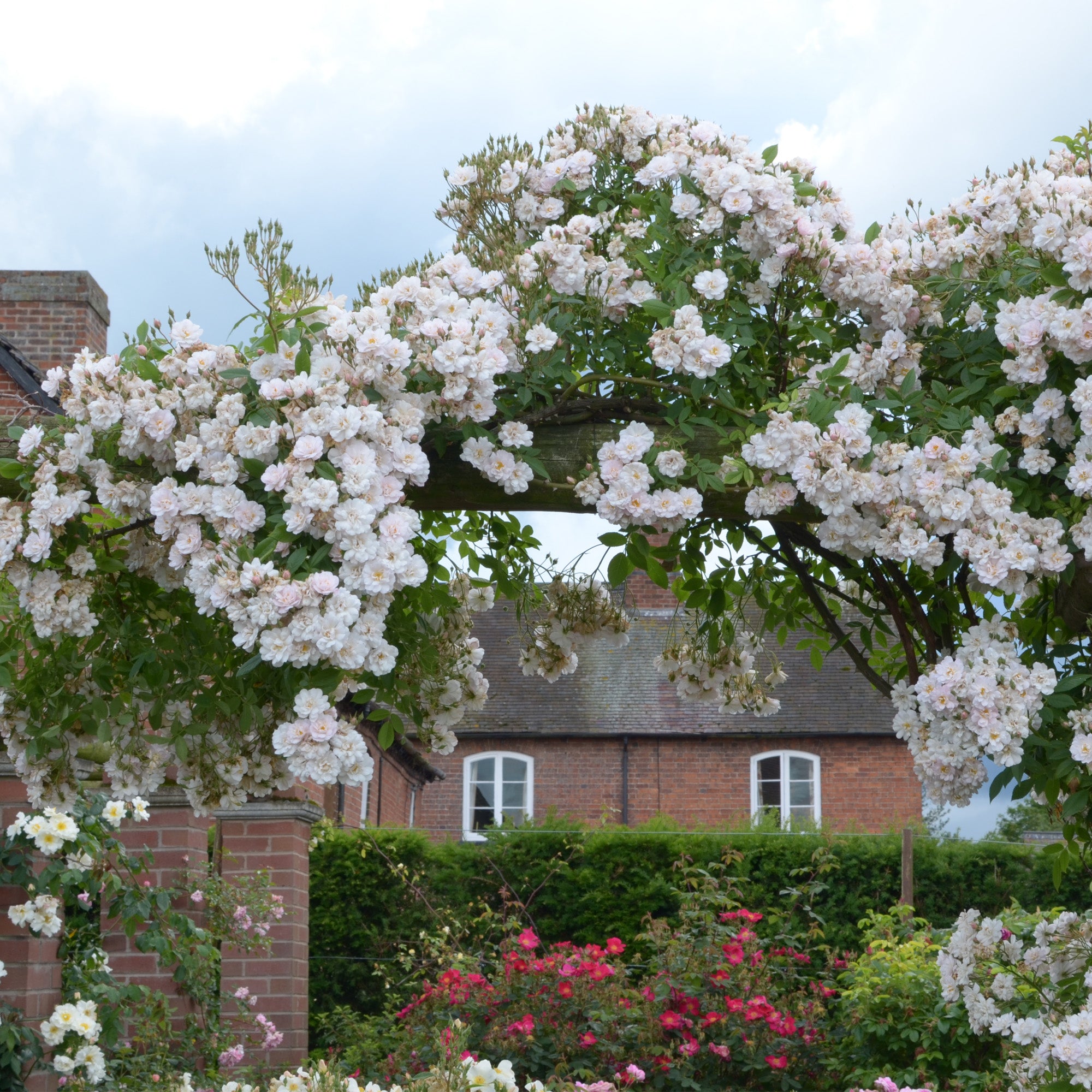 The Garland